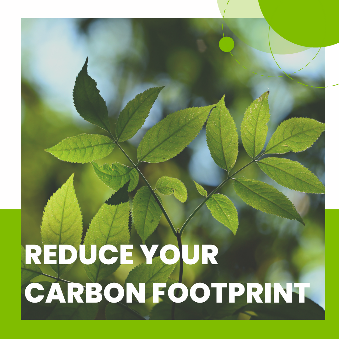 Read more about the article 8 Ways Property Developers Can Reduce Their Carbon Footprint