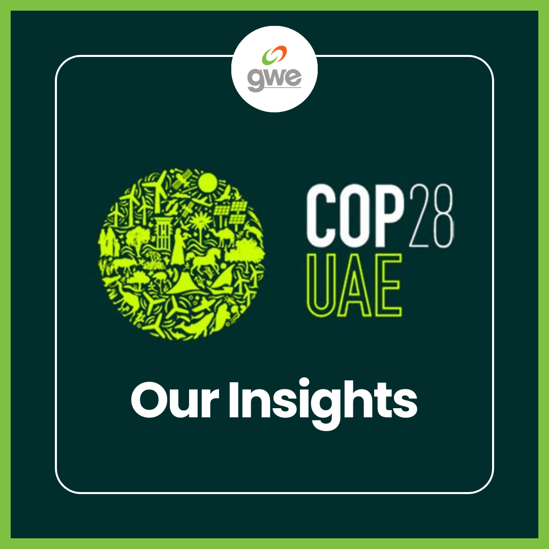 Read more about the article From Commitment to Action: How Businesses Can Lead Climate Innovation Post-COP28